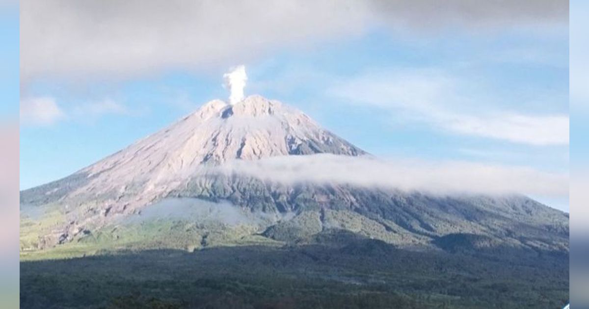 Gunung Semeru Kembali Erupsi, Lontarkan Abu Vulkanik Setinggi 800 Meter