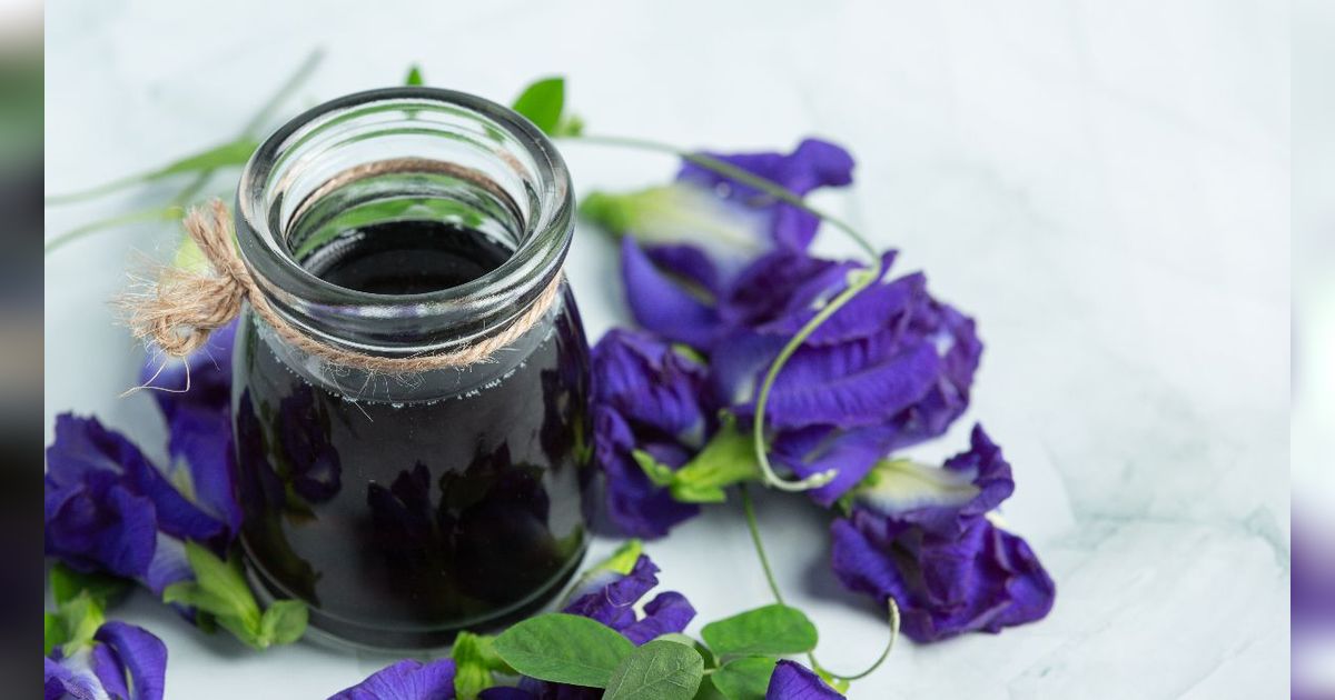 5 Resep Minuman Bunga Telang yang Menyegarkan dan Menyehatkan