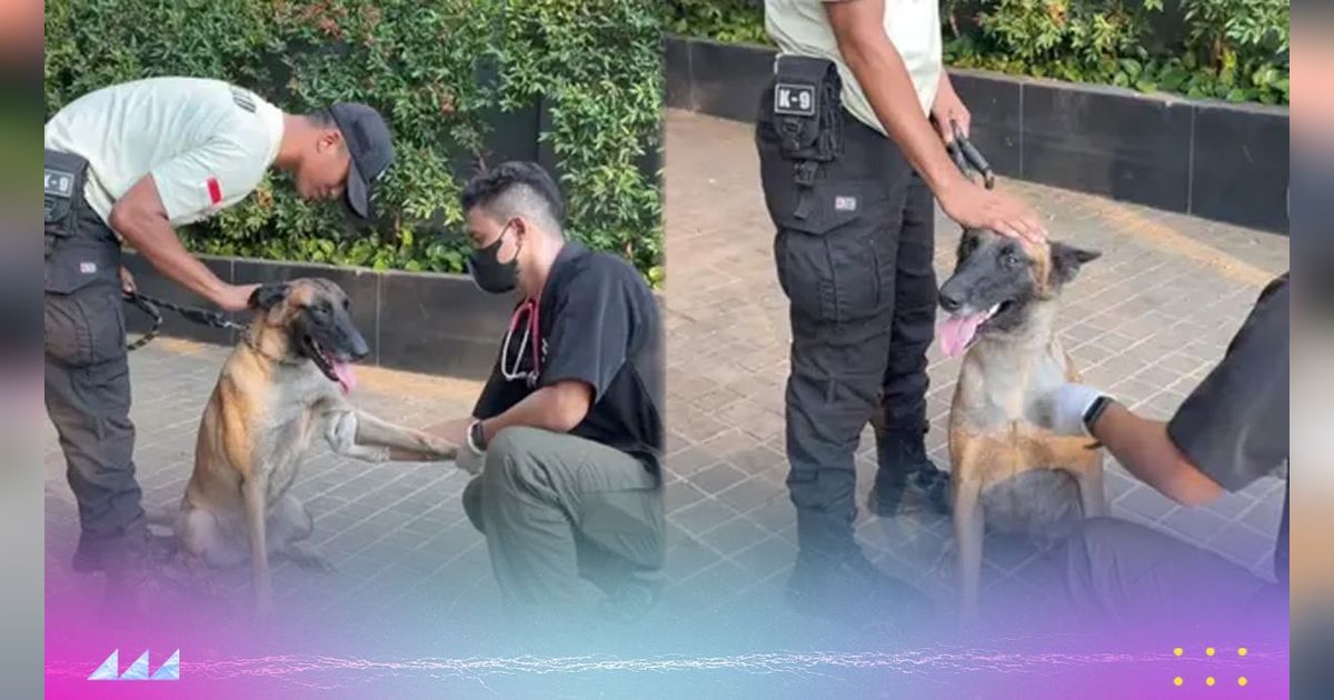 Fakta Terbaru Insiden Anjing Malang Dipukuli Sekuriti Mal di Jakarta
