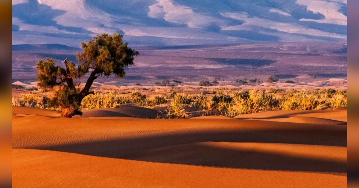 Arkeolog Temukan Gambar Perahu dan Hewan Ternak Berusia 4.000 Tahun di Gurun Sahara, Bukti Dulu Pernah Jadi Kawasan Hijau