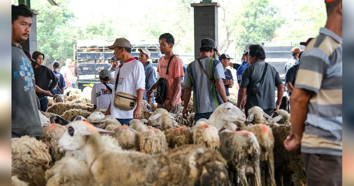 Hindari Beli Hewan Kurban Dekat Tempat Pembuangan Sampah atau Banyak Polusi Udara