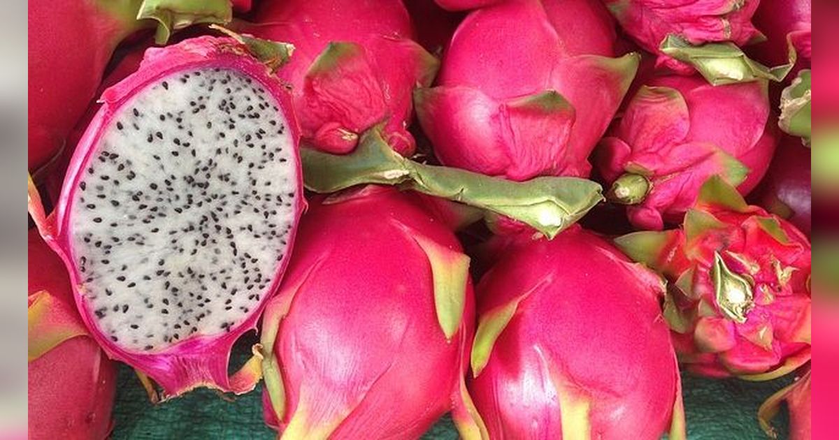 7 Manfaat Buah Naga untuk Promil, Tingkatkan Produksi Hormon