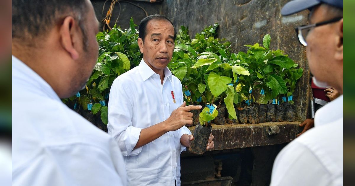 VIDEO: Jokowi Usai Panen Kopi 