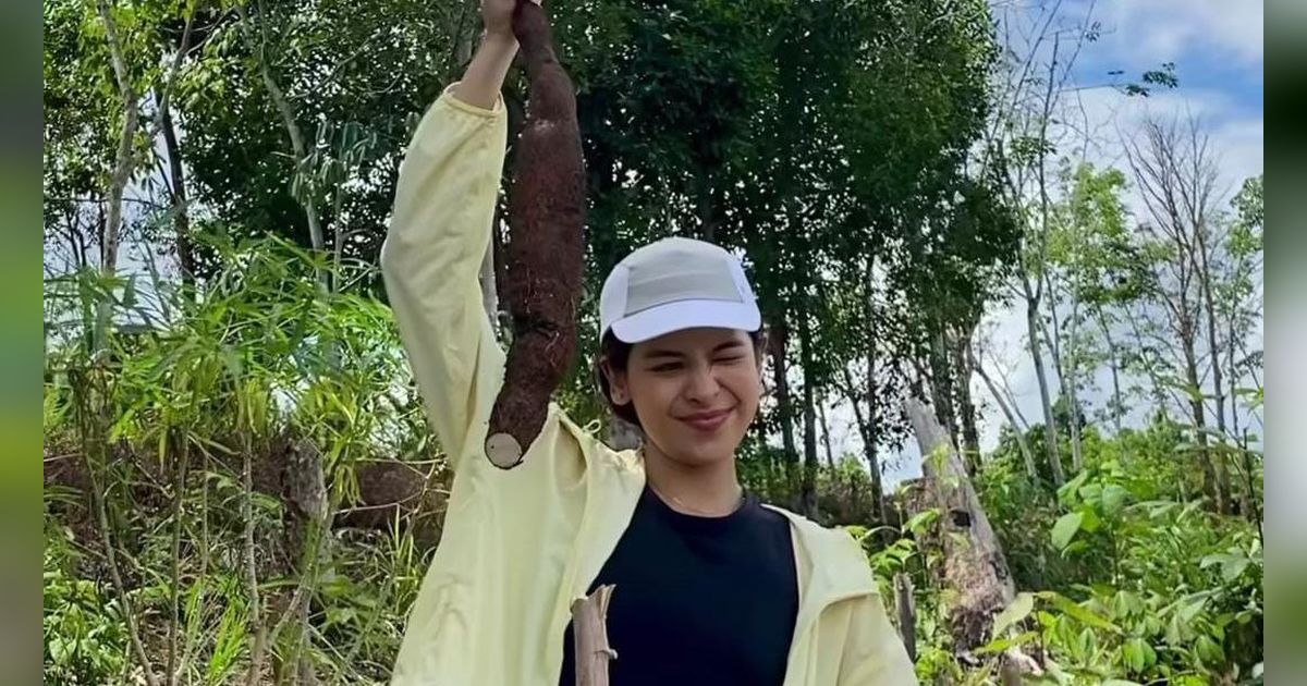 Potret Maudy Ayunda Cabut Singkong di Desa, Bahagia Bisa Rasakan Makanan Langsung Petik dari Kebun