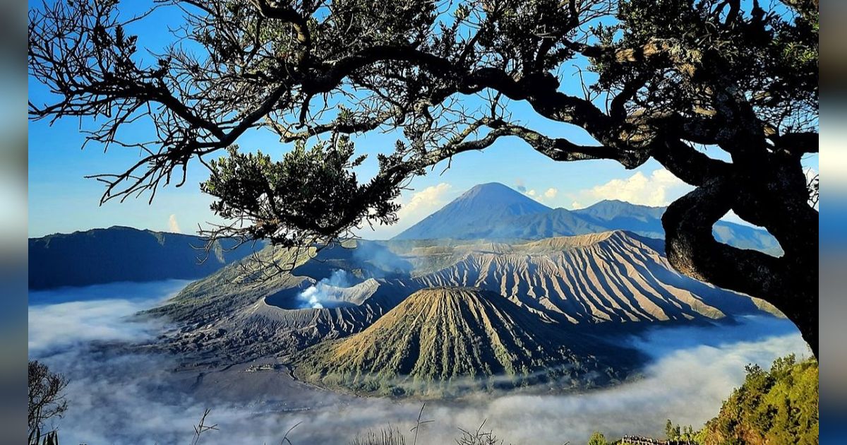 Mengenal Embun Upas, Fenomena yang Kembali Muncul di Wisata Gunung Bromo