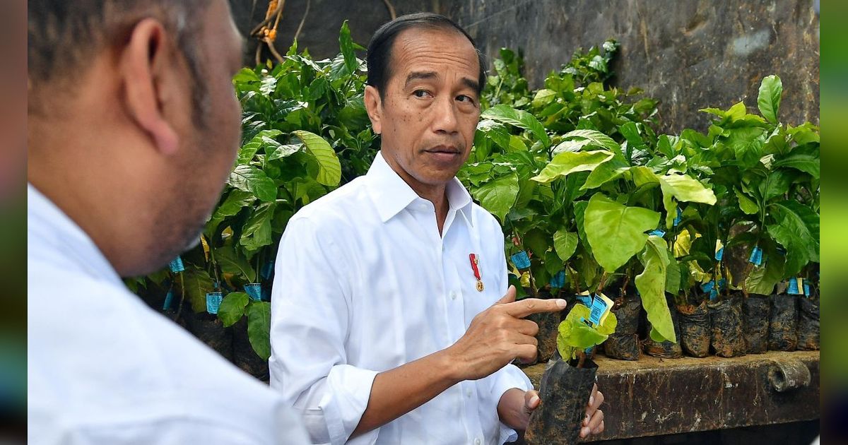 Jokowi: Pansus Angket Haji 2024 Hak DPR
