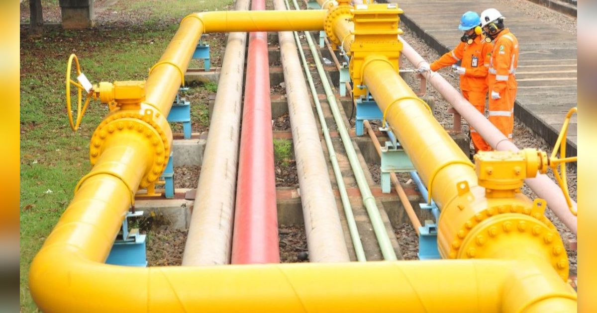 Kebijakan Harga Gas Murah Diperpanjang, Pengusaha: Hilirisasi Bakal Tumbuh dan Beri Tambahan Devisa ke Negara