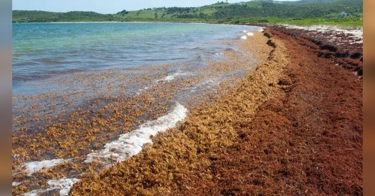 Laut Satu-satunya di Dunia yang Tidak Punya Pantai, Fenomena Alam yang Kondisinya Mengerikan
