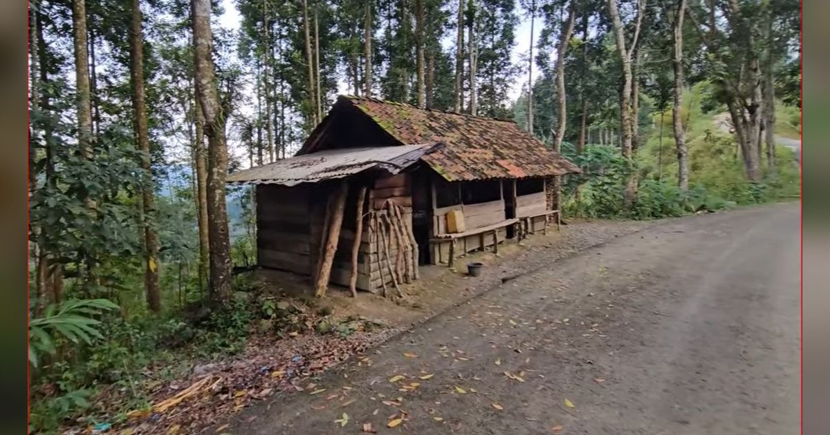 Warung Tengah Hutan di Banjarnegara Ini Konon Telah Berusia Satu Abad, Begini Penampakannya