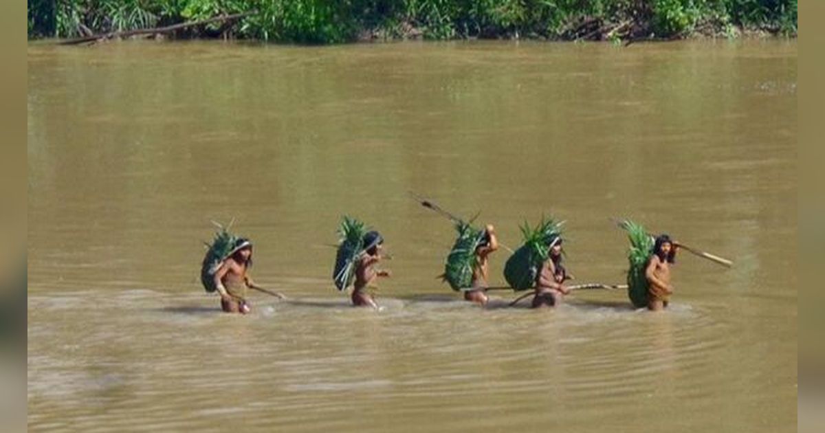 Pemandangan Langka, Suku Terasing di Amazon Muncul di Dekat Lokasi Penebangan Hutan, Begini Penampakannya