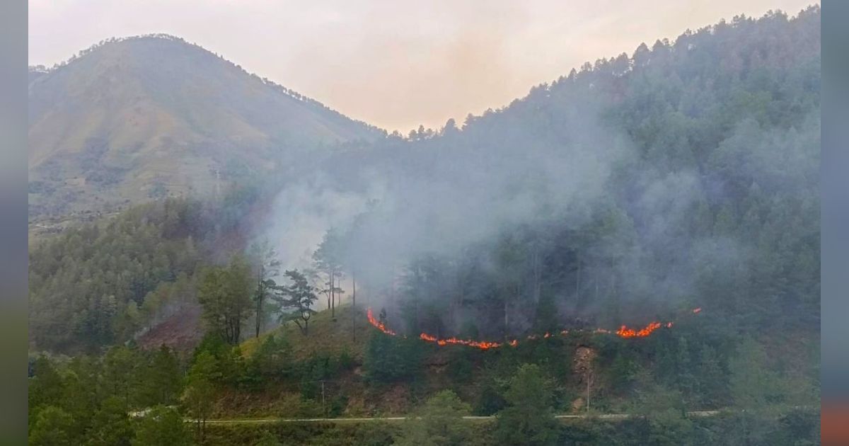 300 Hektare Hutan Lindung di Danau Toba Terbakar, Ini Penyebabnya