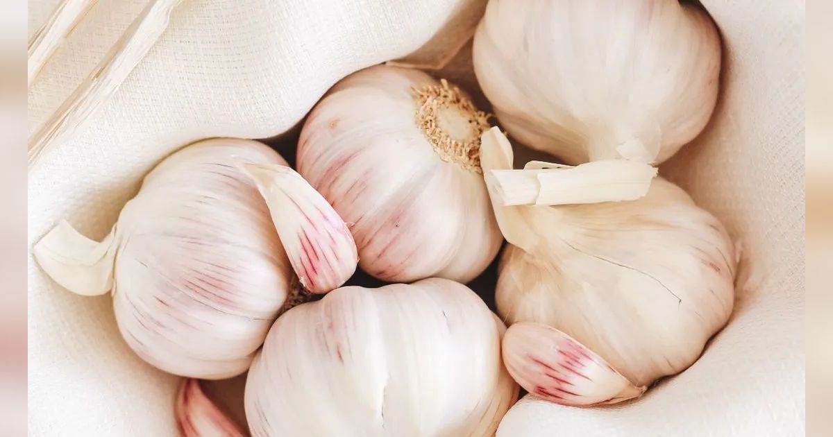 Manfaat Golden Garlic untuk Kesehatan, Bawang yang Punya Sebutan Istimewa