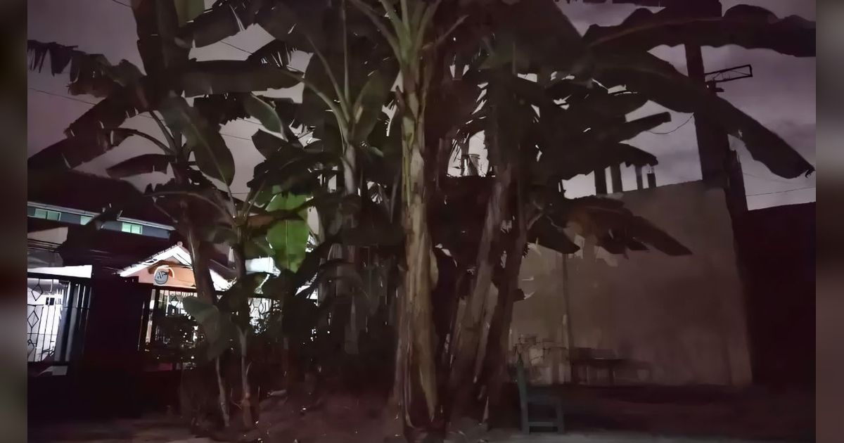 Pemuda Ini Terkejut Kampung Opah Masuk Berita, Satu Keluarga Meninggal dalam Rumah Tua, Dikaitkan dengan Kutukan Misterius