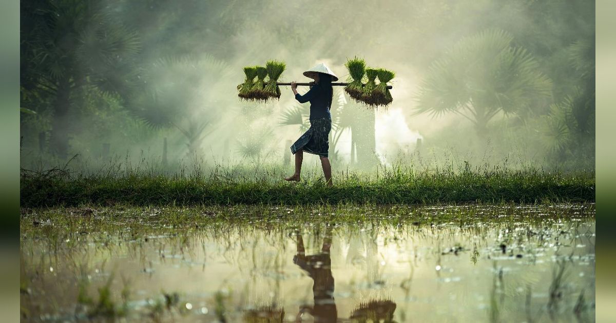 40 Kata-Kata Petani yang Lucu, Motivasi Penuh Humor untuk Para Pejuang Ketahanan Pangan