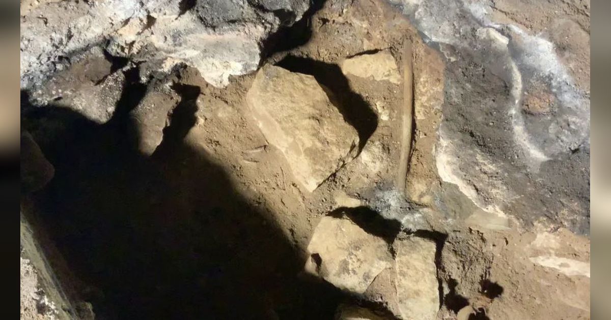 Arkeolog Temukan Dua Tongkat Berusia 12.000 Tahun, Bukti Praktik Sihir dan Perdukunan Tertua di Dunia