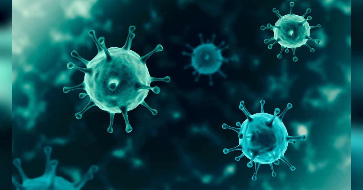 Israel Diserang Virus Mematikan, 100 Orang Terinfeksi, 5 Tewas, Lainnya Kritis