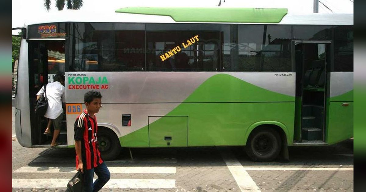 Tidak tanggung-tanggung, kegagahan bus kota low deck dimiliki oleh 4 karoseri Indonesia.