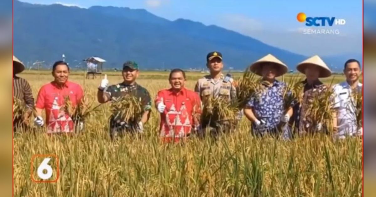 Kelompok Tani di Semarang Ini Buktikan Hasil Panen Lebih Produktif Gunakan Pupuk Organik, Lebih Ekonomis dan Bikin Tanah Subur