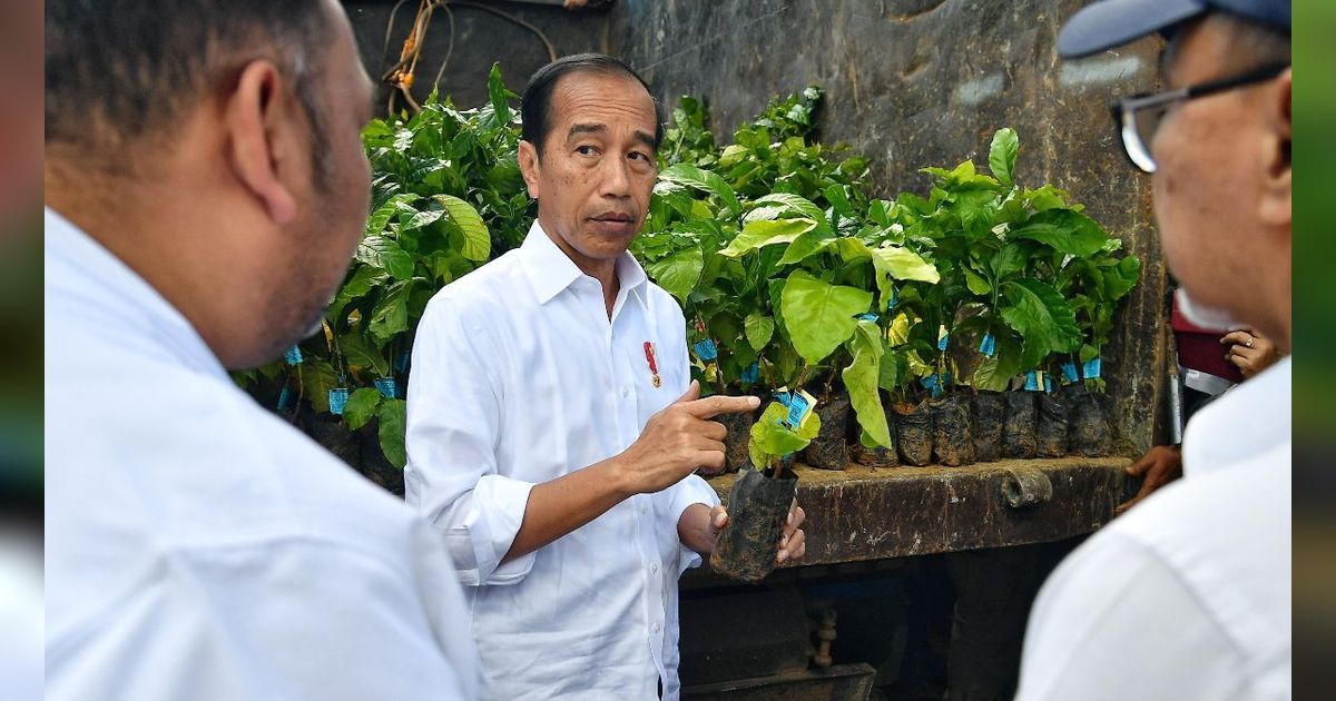 Buka Konferensi Industri Kelapa, Jokowi Minta Hilirisasi Kelapa Ditingkatkan untuk Bio Energi