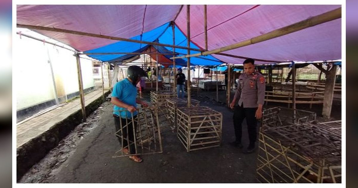 VIDEO: Detik-Detik Polisi Gerebek Lokasi Sabung Ayam Bekasi, Kocak Kocar Kacir Jebol Dinding