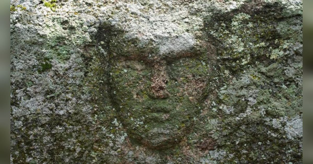 Petugas Damkar Temukan Pahatan Batu Bergambar Wajah Misterius, Arkeolog Duga Berasal dari Zaman Perunggu