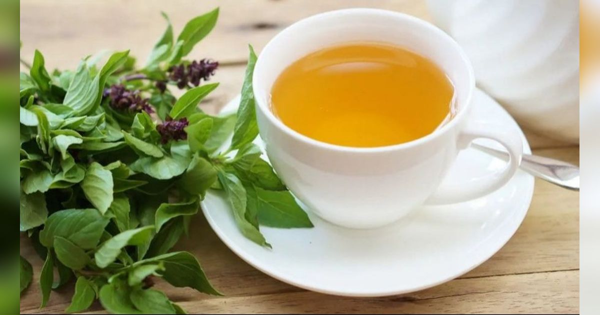 Cara Membuat Air Rebusan Daun Kemangi, Resep Herbal Basmi Kolesterol