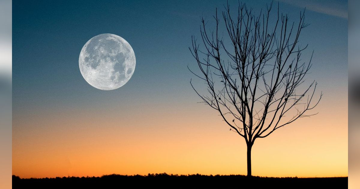 Doa saat Melihat Bulan Purnama, Ungkapan Rasa Syukur dan Kekaguman pada Ciptaan Allah SWT