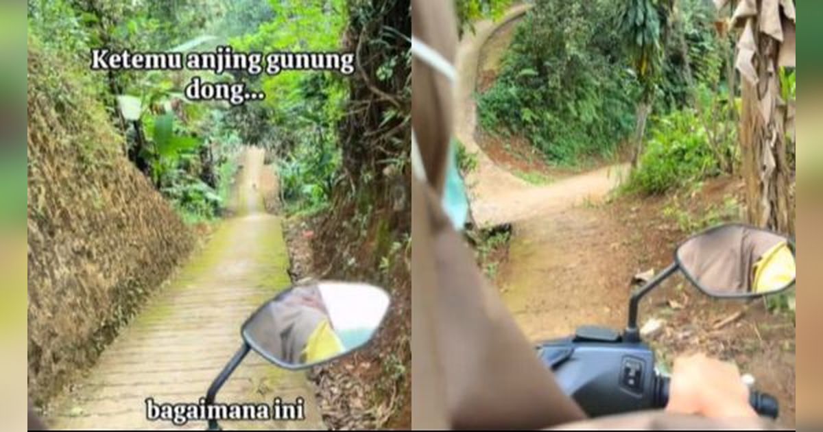 Bidan Kunjungi Pasien Lewat Jalan Desa Kecil dan Berliku, Berasa Naik Roller Coaster!