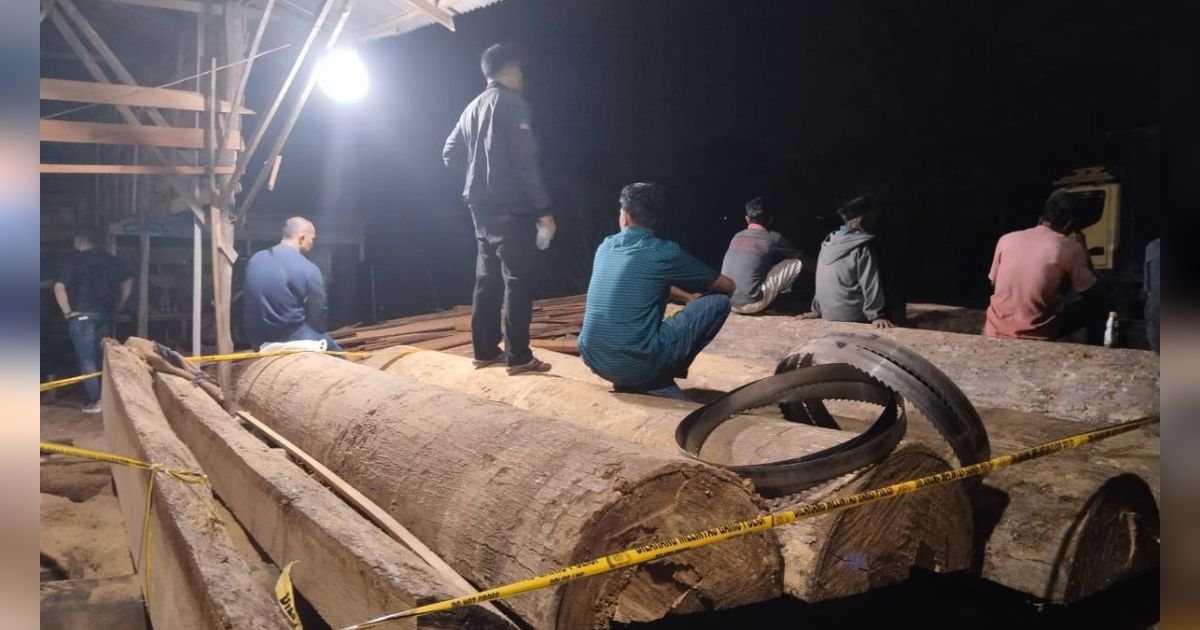 Lokasi Pengolahan Kayu Hutan Besar di Kampar Terbongkar, 5 Orang Diringkus Polisi