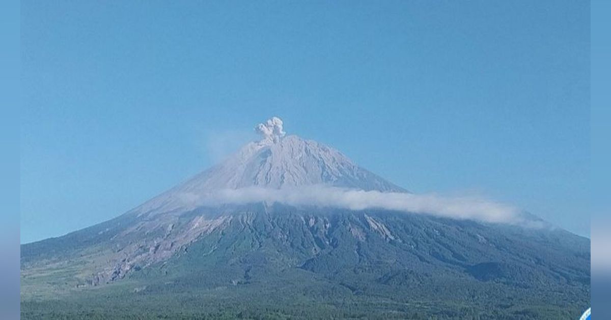 Kembali Erupsi, Gunung Semeru Lontarkan Abu Vulkanik Setinggi 900 Meter
