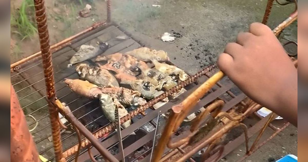 Cara Bakar Ikan Tanpa Perlu Alat yang Nyeleneh Abis, Ditaruh di Ayunan