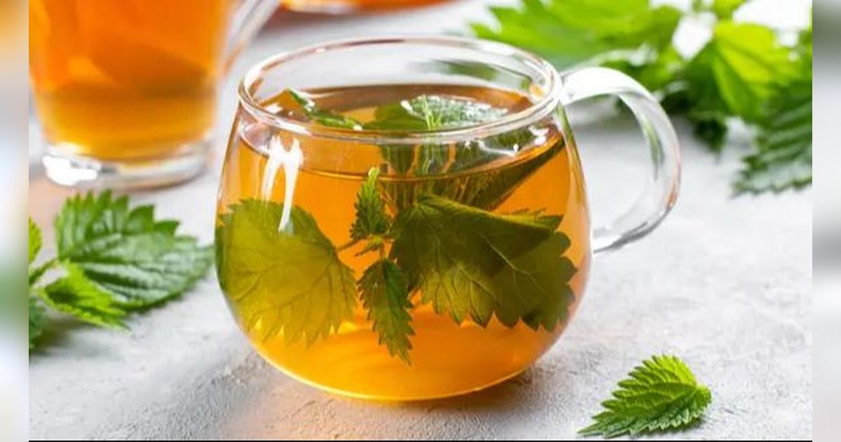 6 Resep Jamu Rebus Herbal 3 Bahan Mampu Turunkan Darah Tinggi dan Asam Urat