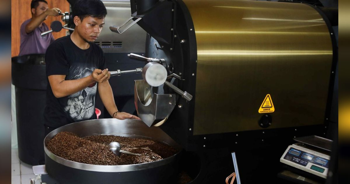 FOTO: Menggenjot Produktivitas Kopi Indonesia Agar Bisa Hasilkan 8-9 Ton per Hektar