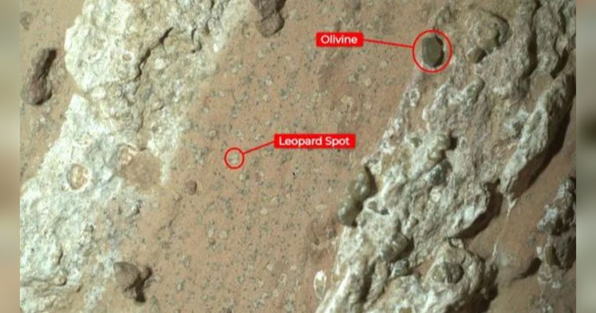 Batu Misterius Ditemukan di Mars, Berisi Petunjuk Tanda-tanda Kehidupan Purba