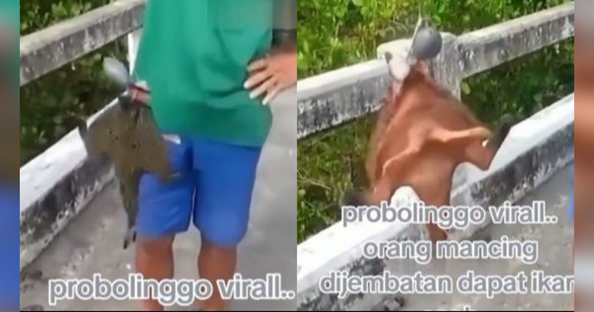 Viral Ikan Tangkapan Pemancing di Probolinggo Berbentuk Aneh, Punya Kaki di Bawah Tubuhnya