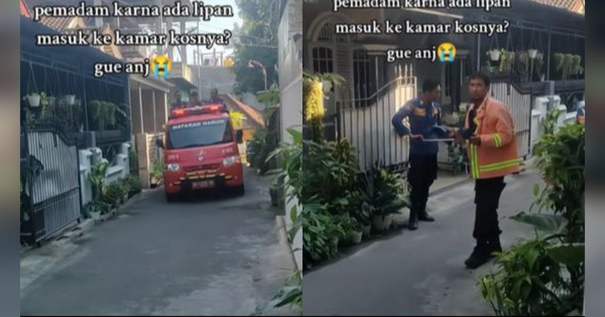 Bukan Biawak Apalagi Piton, Petugas Damkar Diminta Usir Hewan yang Aslinya Bisa Diusir Bapak Kos