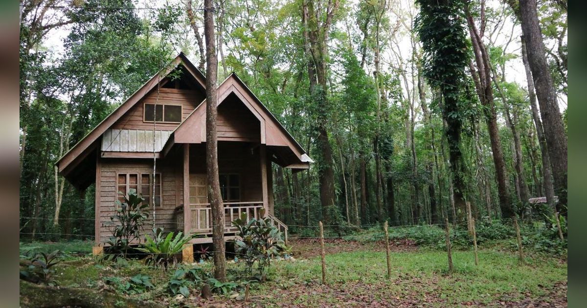 Ibu Ungkap Kisah Aneh di Rumah Warisan: Sosok Mirip Anak Bergelantungan di Pohon Jelang Subuh, Rambut dan Muka Sama!