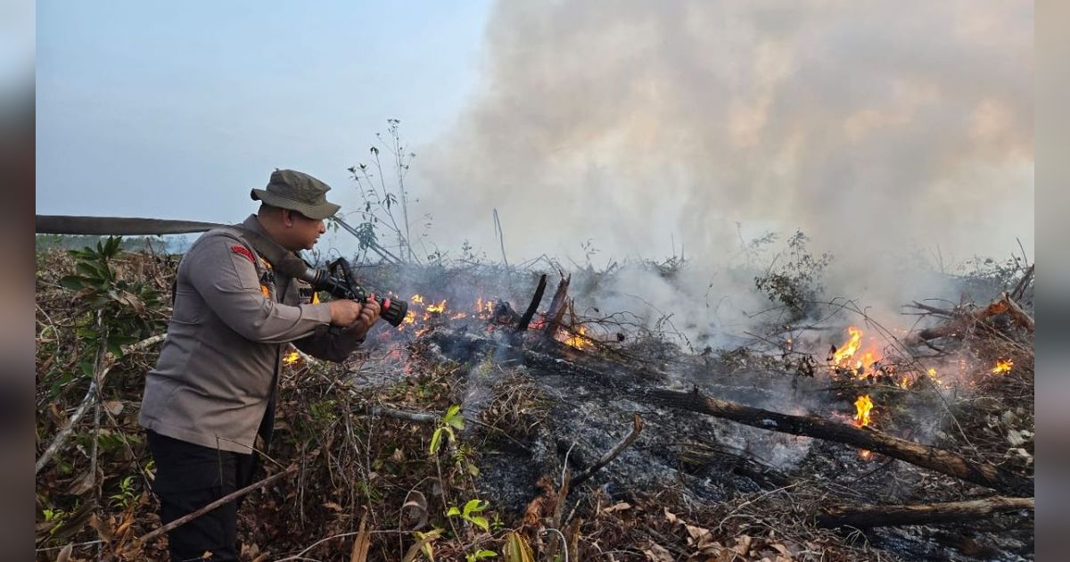 Lahan Perbatasan Hutan Lindung di Riau Terbakar, 40 Personel Pemadam Dikerahkan