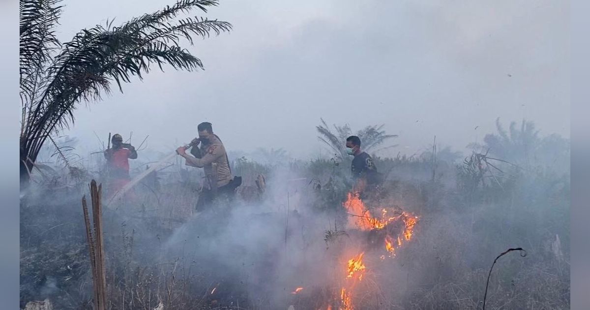 10 Hektare Lahan Perusahaan Sawit di Pelalawan Terbakar