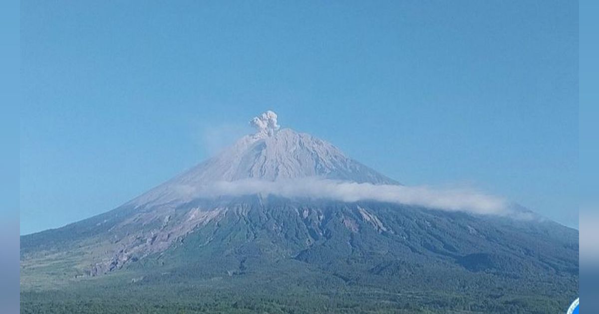 Bukan Bareng Pacar atau Sahabat, Wanita Ini Justru Mendaki Gunung Ditemani Ayah yang Berusia 65 Tahun