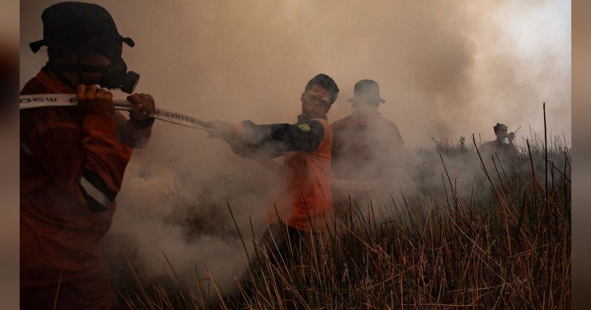 Demi Kelabui Petugas, Ini Trik Licik Digunakan Warga Saat Bakar Hutan untuk Buka Lahan