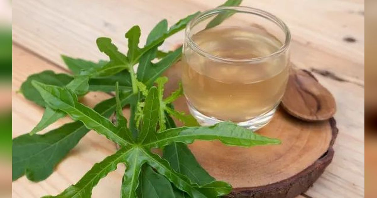 6 Resep Jamu Rebus Tanaman Obat Mujarab untuk Kolesterol dan Asam Urat