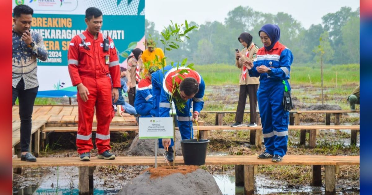 Pertama di Indonesia, Pemprov Sumsel & Kilang Pertamina Plaju Bangun Taman Rawa di Kawasan Jakabaring