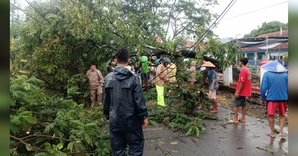 Hujan Deras di Jakarta, Belasan Pohon Tumbang Menimpa Kabel PLN hingga Bajaj