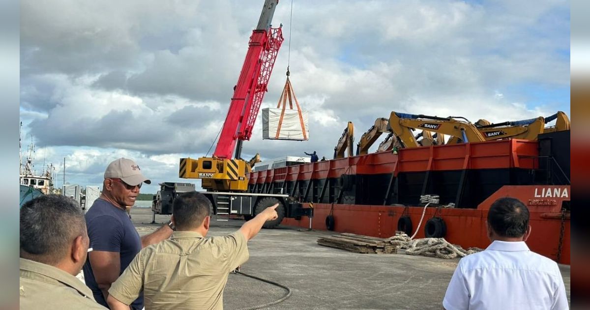 Ribuan Ekskavator Pesanan Haji Isam dari China Mulai Berdatangan, Begini Spesifikasi dan Penampakannya