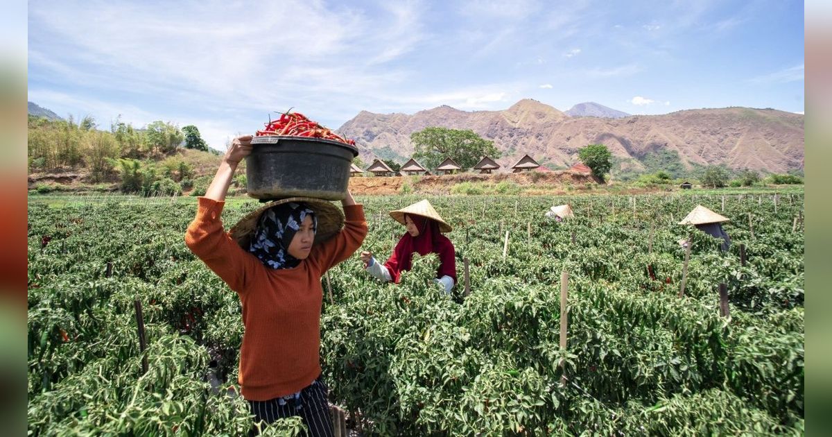 Jurus BRI Kelola NPL UMKM Tetap Rendah Dibawah Industri Perbankan Nasional