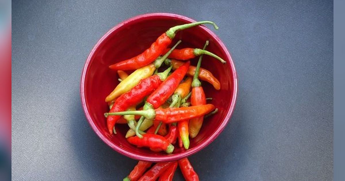 40 Kata-Kata Lucu tentang Cabe yang Penuh Arti Kehidupan, Pedasnya Bikin Semangat Menggebu