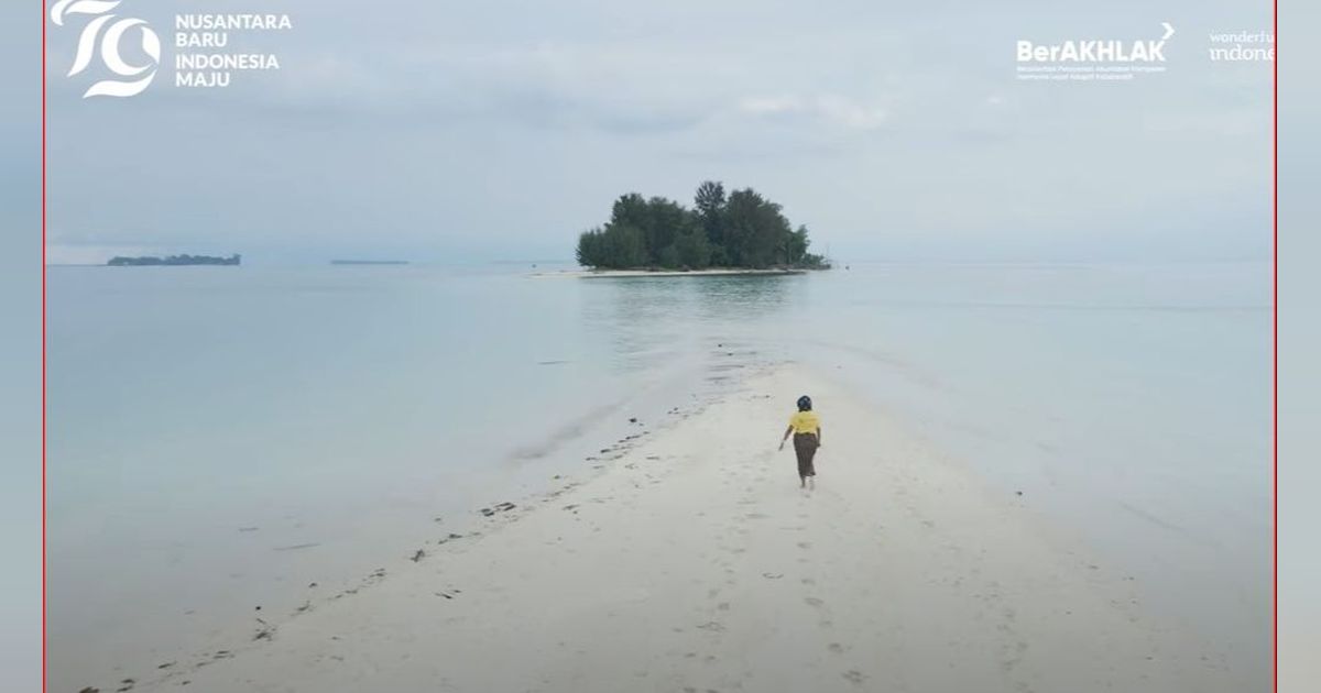 Sensasi Berwisata ke Pulau Morotai, Bisa Melihat Peninggalan Perang Dunia II hingga Renang bareng Ikan Hiu