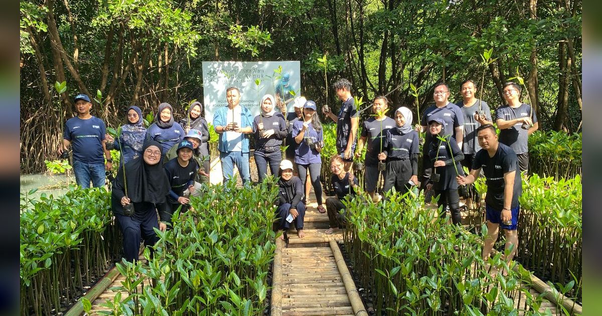 Hari Mangrove Sedunia, PNM Peduli Tanam 50.000 Mangrove untuk Tekan Bencana di Pesisir