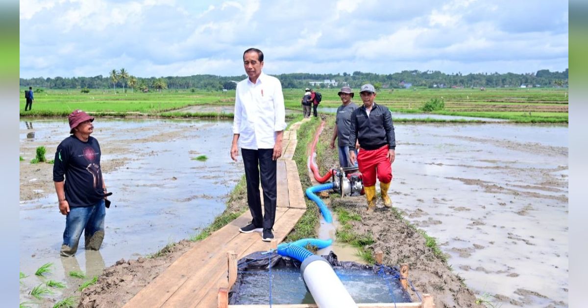 Jokowi ke Tengah Sawah Cek Pemberian Bantuan 300 Pompa Irigasi di Sulsel